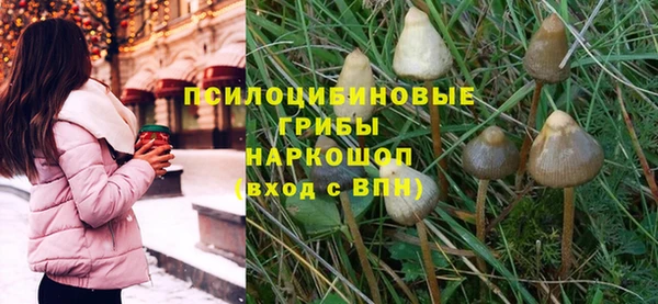 стафф Козельск