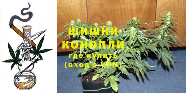 стафф Козельск