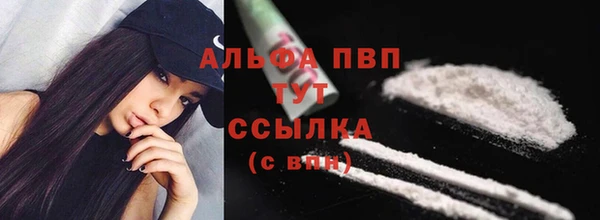 стафф Козельск