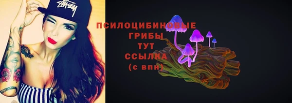 mdpv Козловка