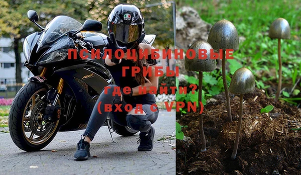 mdpv Козловка