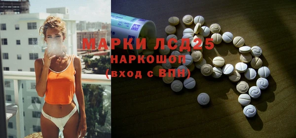 стафф Козельск