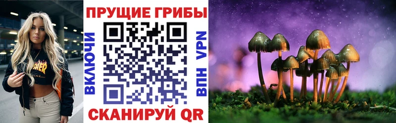 Псилоцибиновые грибы мицелий  Купить  Яранск 